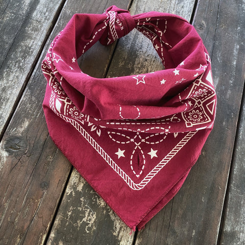 Bandana | the Cowboy